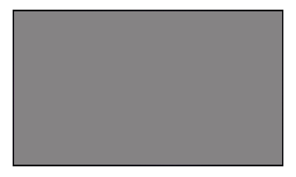 [LCTB-100205] Экран Lumien Cinema Thin Bezel